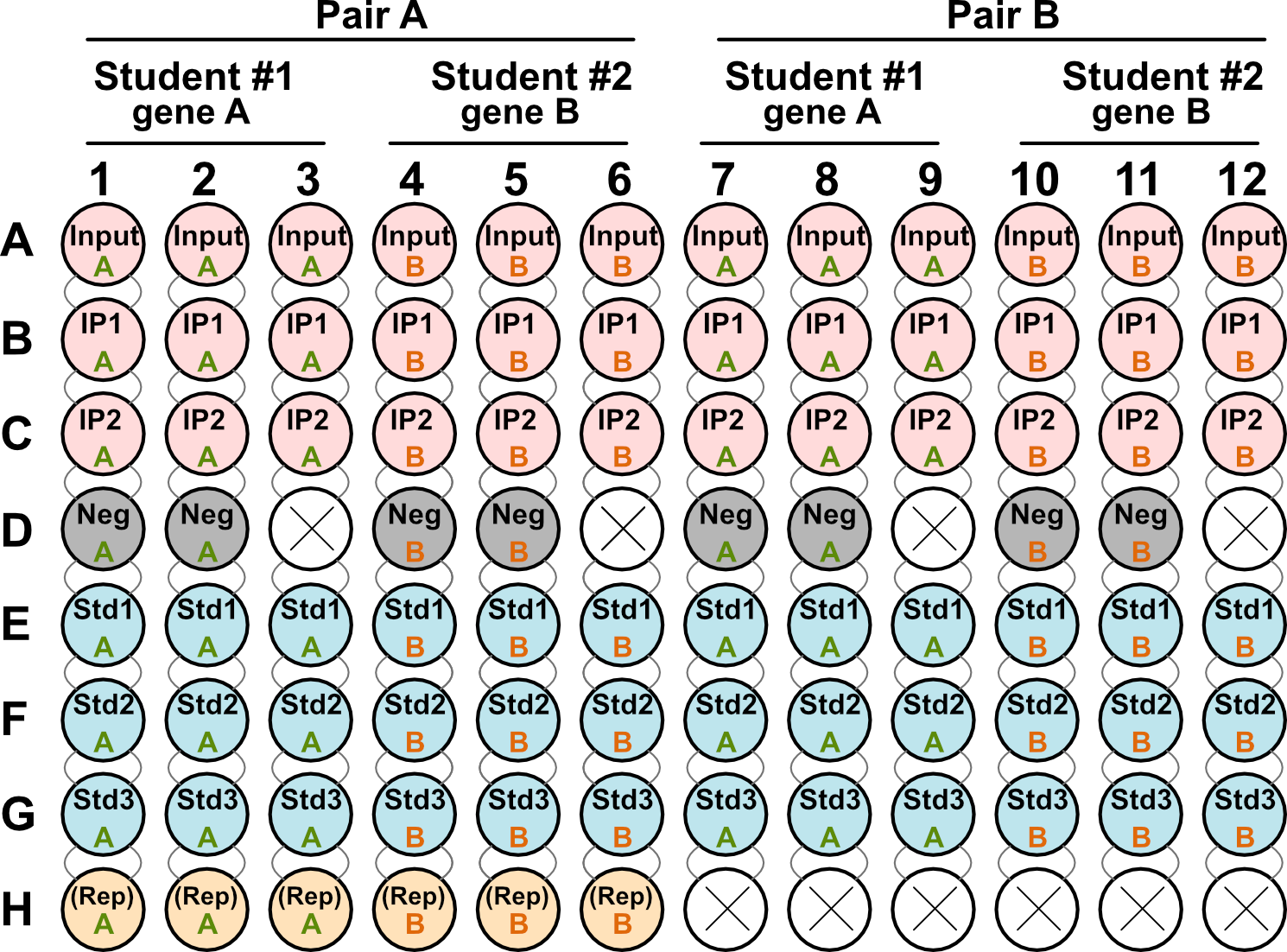 qPCR reactions