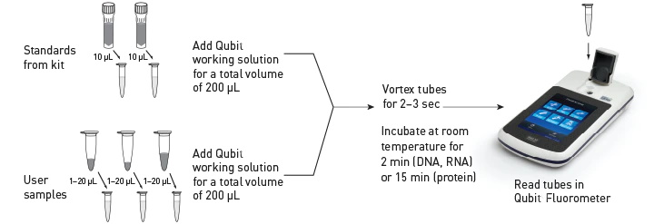 QuBit workflow