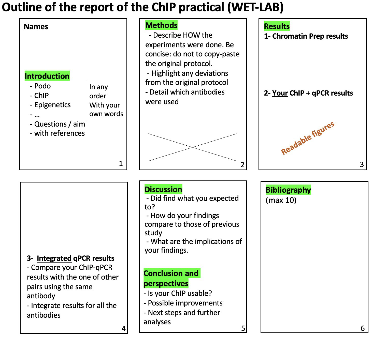 Report Overview