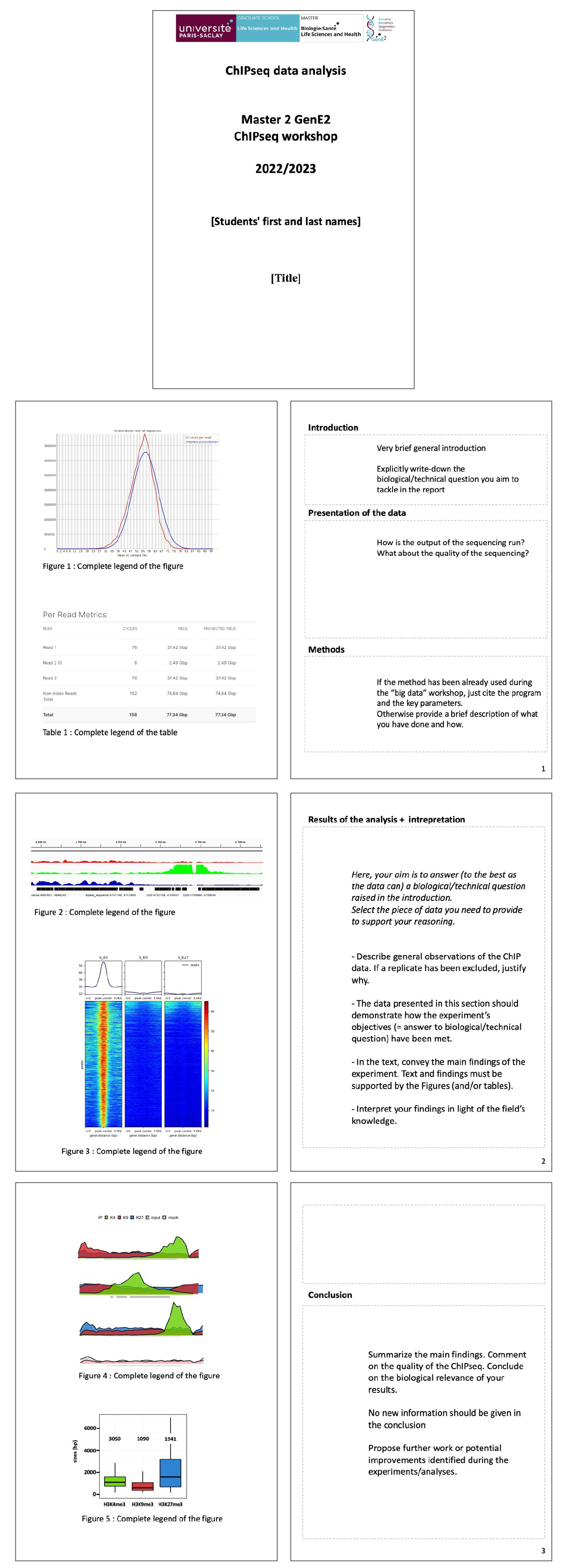 Report Overview