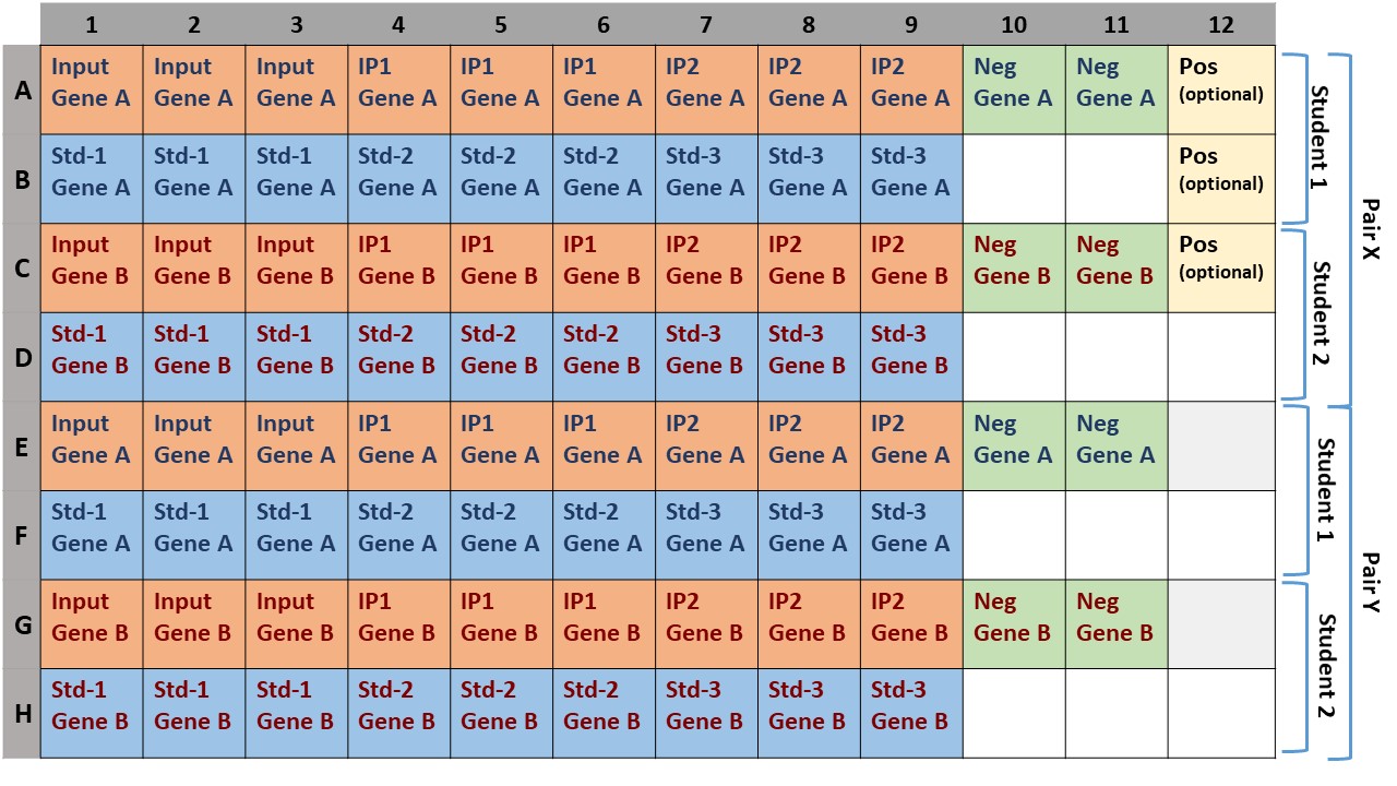 qPCR reactions